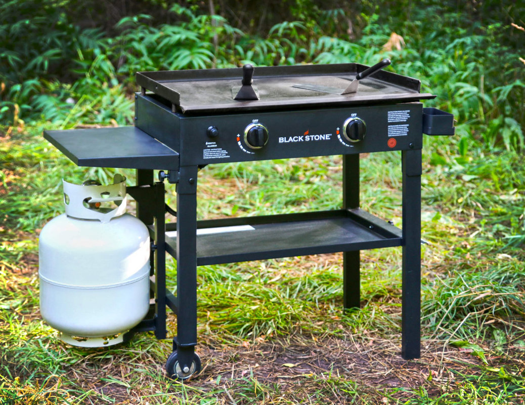 Blackstone 2Burner Propane Gas Grill with Side Shelves & Reviews Wayfair